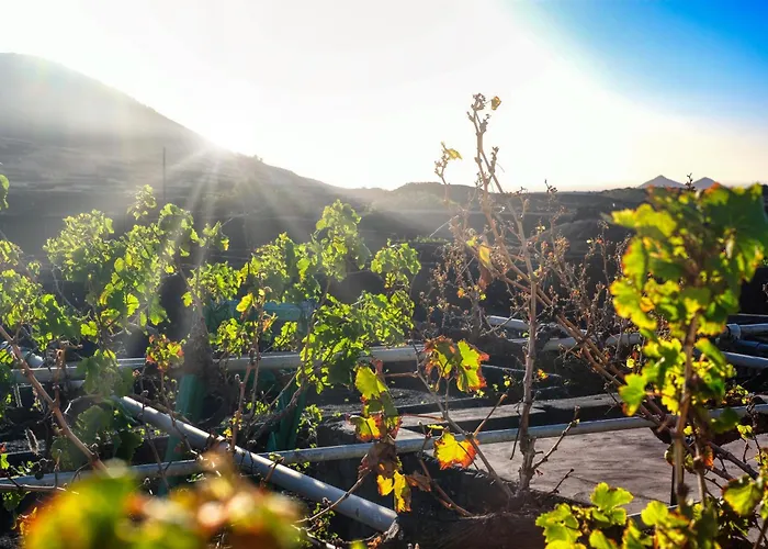 Casa Diama - By Lanzarote Feriehus